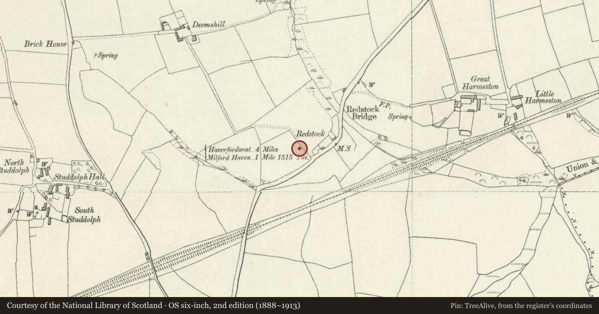 Ordnance Survey six-inch map, 2nd edition (1888–1913) covering the location of Milepost near Redstock Bridge, Tiers Cross, Pembrokeshire, with a pin at the register's coordinates