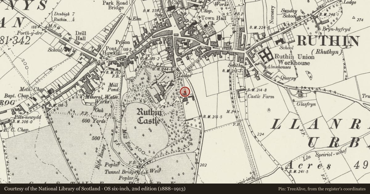 Ordnance Survey six-inch map, 2nd edition (1888–1913) covering the location of Screen Wall & Folly adjoining the N end of Craigle, Ruthin, Denbighshire, with a pin at the register's coordinates