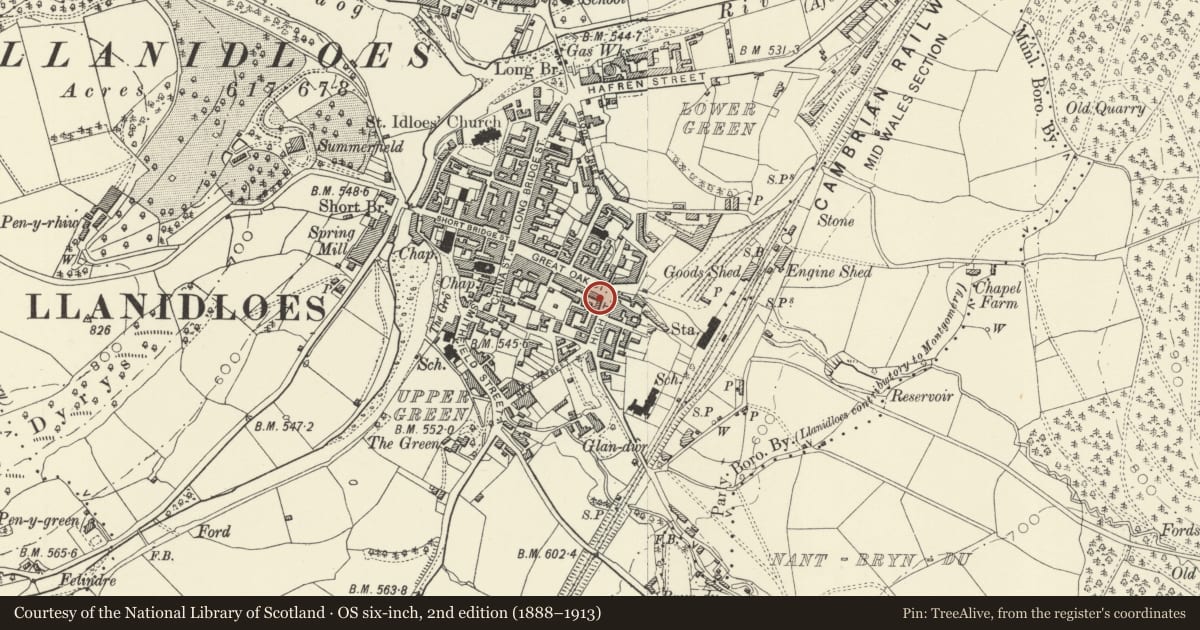 Ordnance Survey six-inch map, 2nd edition (1888–1913) covering the location of Natural Foods, Llanidloes, Powys, with a pin at the register's coordinates