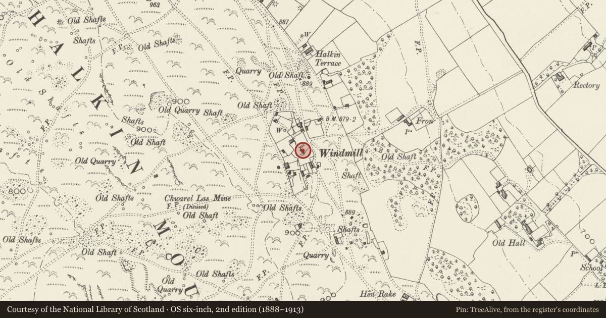 Ordnance Survey six-inch map, 2nd edition (1888–1913) covering the location of Lane Cottage, Halkyn, Flintshire, with a pin at the register's coordinates