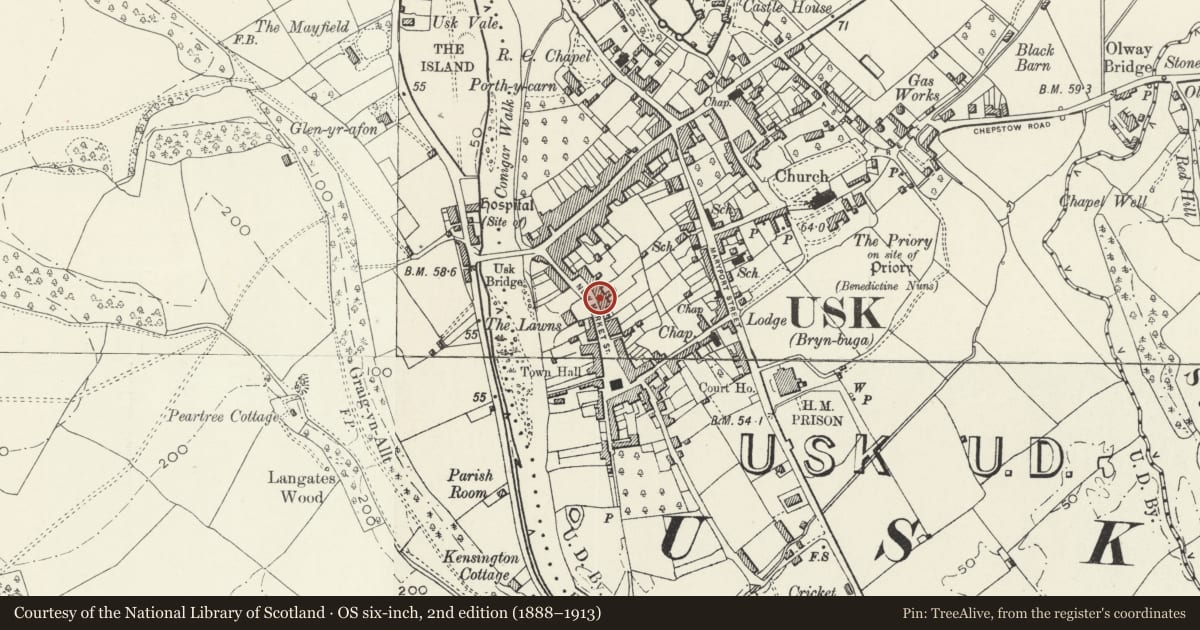 Ordnance Survey six-inch map, 2nd edition (1888–1913) covering the location of 17 New Market Street, Usk, Monmouthshire, with a pin at the register's coordinates
