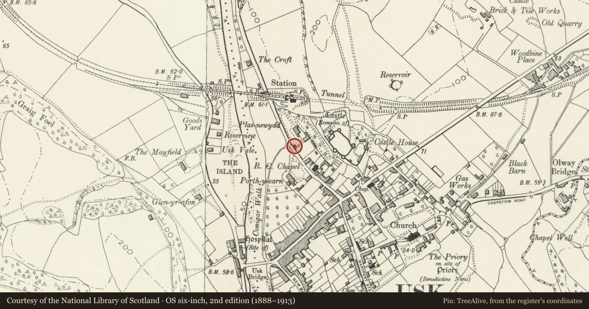 Ordnance Survey six-inch map, 2nd edition (1888–1913) covering the location of Entrance Gateway to Plas-newydd, Usk, Monmouthshire, with a pin at the register's coordinates