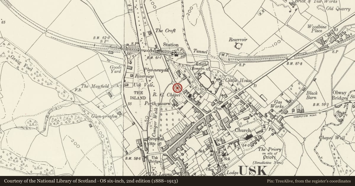 Ordnance Survey six-inch map, 2nd edition (1888–1913) covering the location of Entrance gateway to Porth-y-carn, Usk, Monmouthshire, with a pin at the register's coordinates