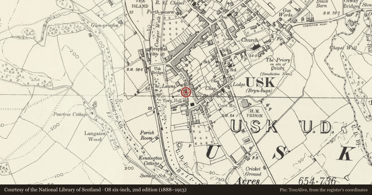 Ordnance Survey six-inch map, 2nd edition (1888–1913) covering the location of Henllys, Usk, Monmouthshire, with a pin at the register's coordinates
