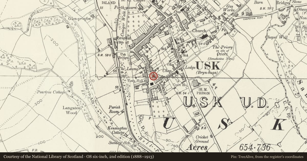 Ordnance Survey six-inch map, 2nd edition (1888–1913) covering the location of No.31 New Market Street, and attached iron railings, Usk, Monmouthshire, with a pin at the register's coordinates