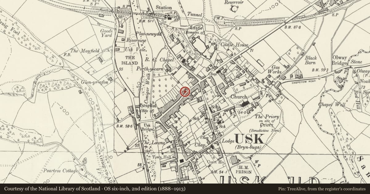 Ordnance Survey six-inch map, 2nd edition (1888–1913) covering the location of Bridge Street, and iron forecourt railings, Usk, Monmouthshire, with a pin at the register's coordinates