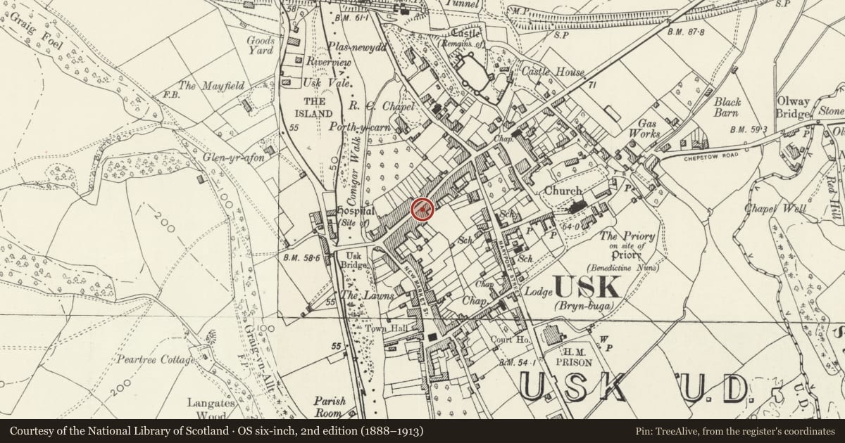 Ordnance Survey six-inch map, 2nd edition (1888–1913) covering the location of 47 & 49 and attached iron railings and attached archway, Usk, Monmouthshire, with a pin at the register's coordinates