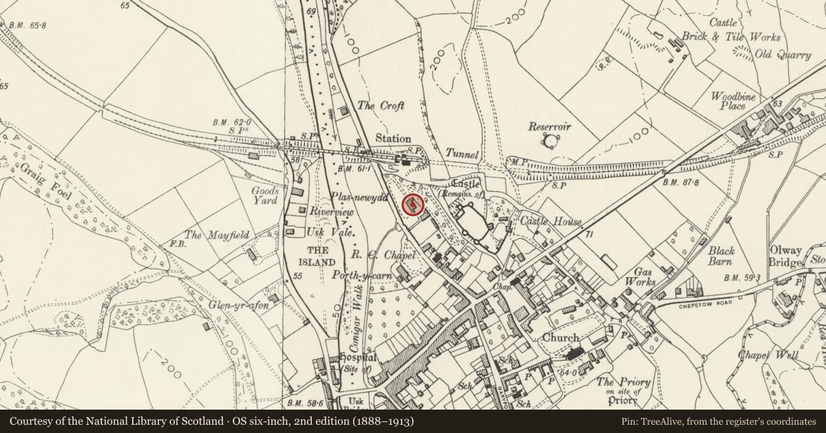 Ordnance Survey six-inch map, 2nd edition (1888–1913) covering the location of Plas-newydd, Usk, Monmouthshire, with a pin at the register's coordinates