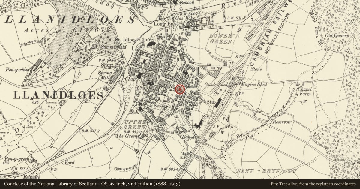 Ordnance Survey six-inch map, 2nd edition (1888–1913) covering the location of J.K.Morgan, Llanidloes, Powys, with a pin at the register's coordinates