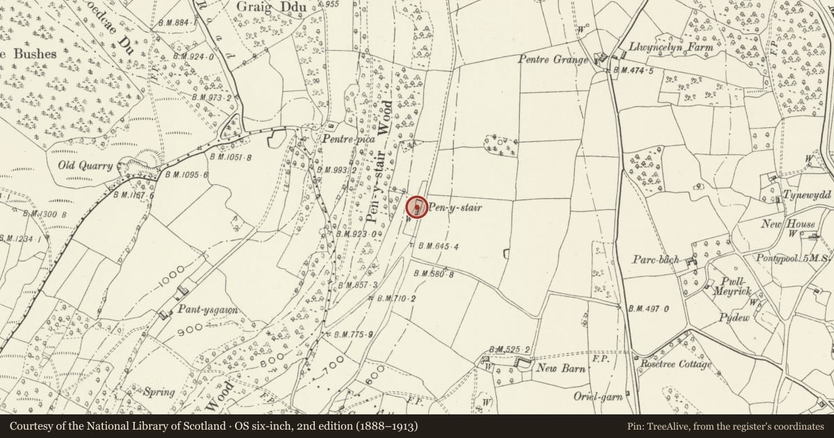Ordnance Survey six-inch map, 2nd edition (1888–1913) covering the location of Pen-y-Stair, Goetre Fawr, Monmouthshire, with a pin at the register's coordinates