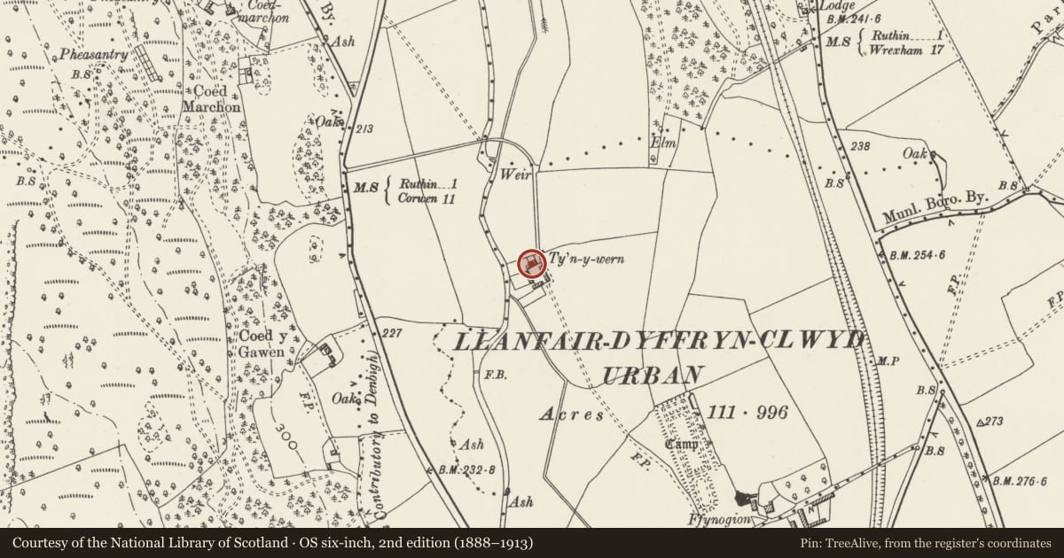 Ordnance Survey six-inch map, 2nd edition (1888–1913) covering the location of Ty'n y Wern, Ruthin, Denbighshire, with a pin at the register's coordinates