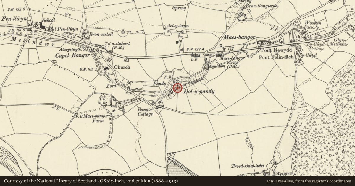 Ordnance Survey six-inch map, 2nd edition (1888–1913) covering the location of 7 Dolypandy, Melindwr, Ceredigion, with a pin at the register's coordinates