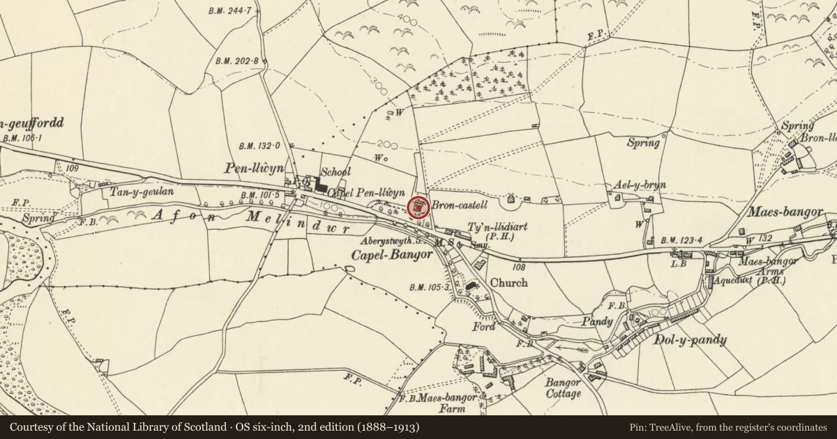 Ordnance Survey six-inch map, 2nd edition (1888–1913) covering the location of Broncastell, Melindwr, Ceredigion, with a pin at the register's coordinates