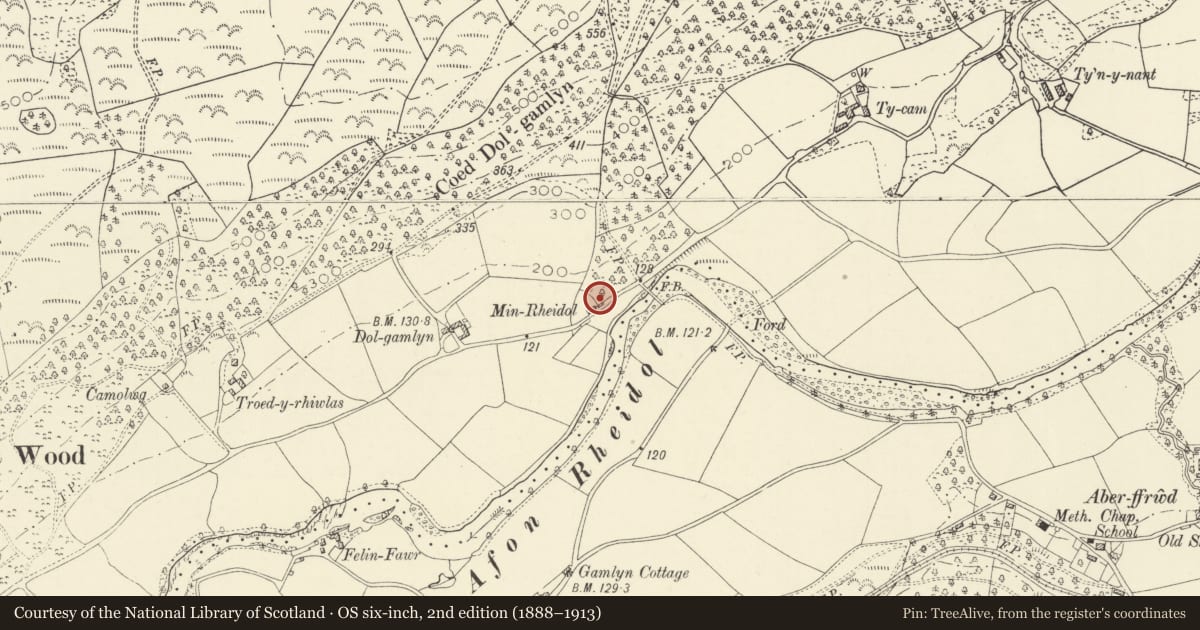 Ordnance Survey six-inch map, 2nd edition (1888–1913) covering the location of Cottage just E of Minrheidol, Melindwr, Ceredigion, with a pin at the register's coordinates