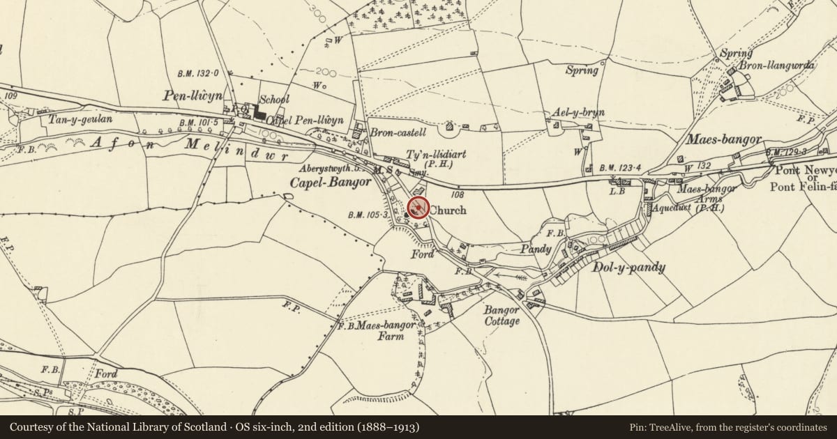 Ordnance Survey six-inch map, 2nd edition (1888–1913) covering the location of Entrance gates to Church of St David, Melindwr, Ceredigion, with a pin at the register's coordinates