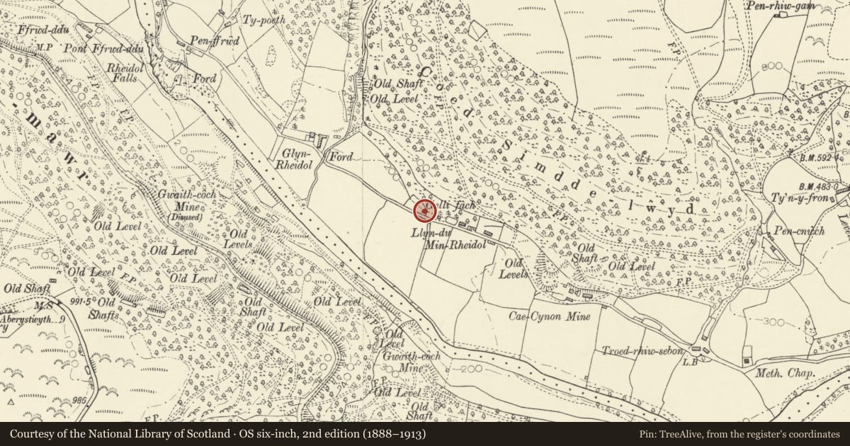 Ordnance Survey six-inch map, 2nd edition (1888–1913) covering the location of Gelli Fach, Melindwr, Ceredigion, with a pin at the register's coordinates