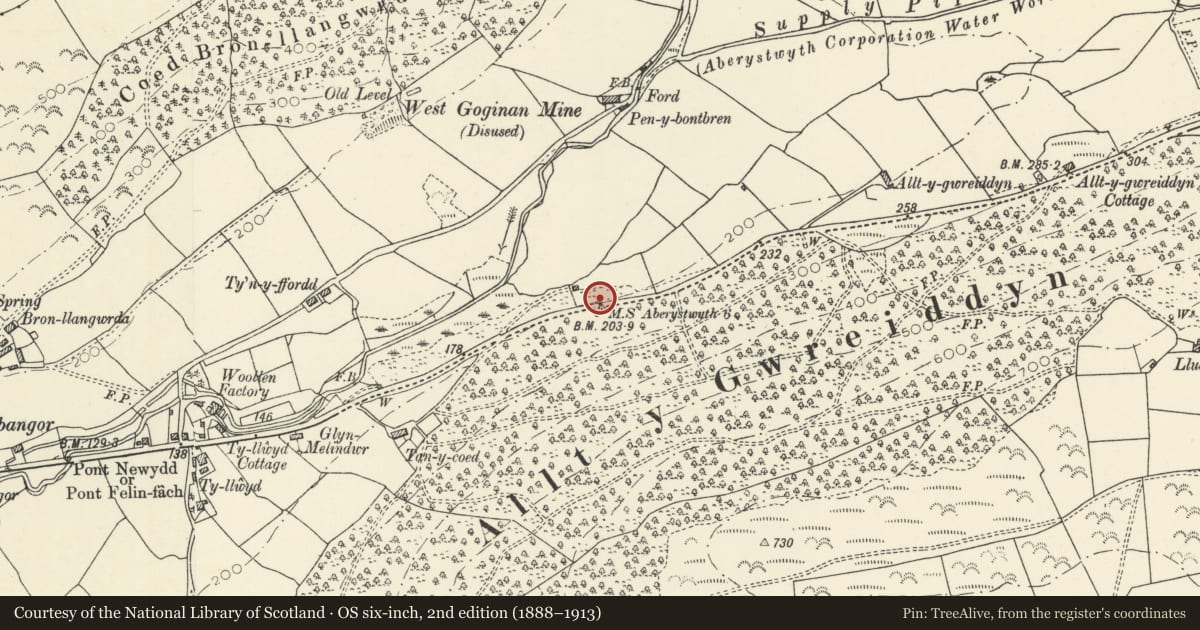 Ordnance Survey six-inch map, 2nd edition (1888–1913) covering the location of Milestone between Capel Bangor and Goginan, Melindwr, Ceredigion, with a pin at the register's coordinates