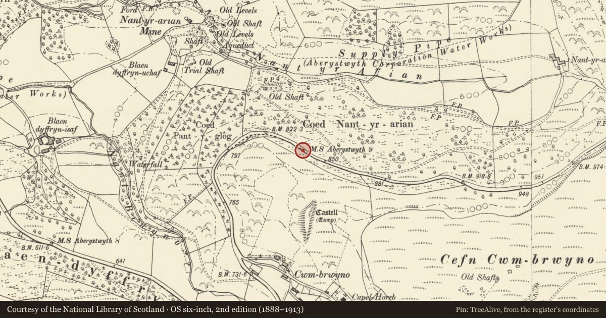 Ordnance Survey six-inch map, 2nd edition (1888–1913) covering the location of Milestone between Goginan and Cwmbrwyno, Melindwr, Ceredigion, with a pin at the register's coordinates