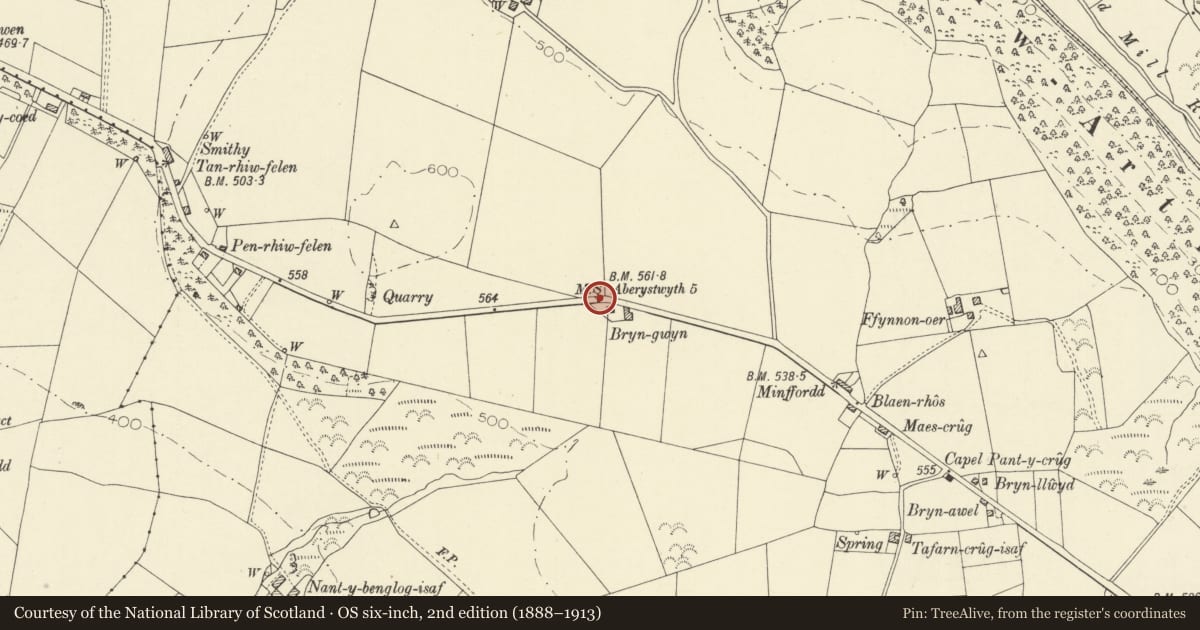 Ordnance Survey six-inch map, 2nd edition (1888–1913) covering the location of Milestone NW of Pantycrug, Melindwr, Ceredigion, with a pin at the register's coordinates