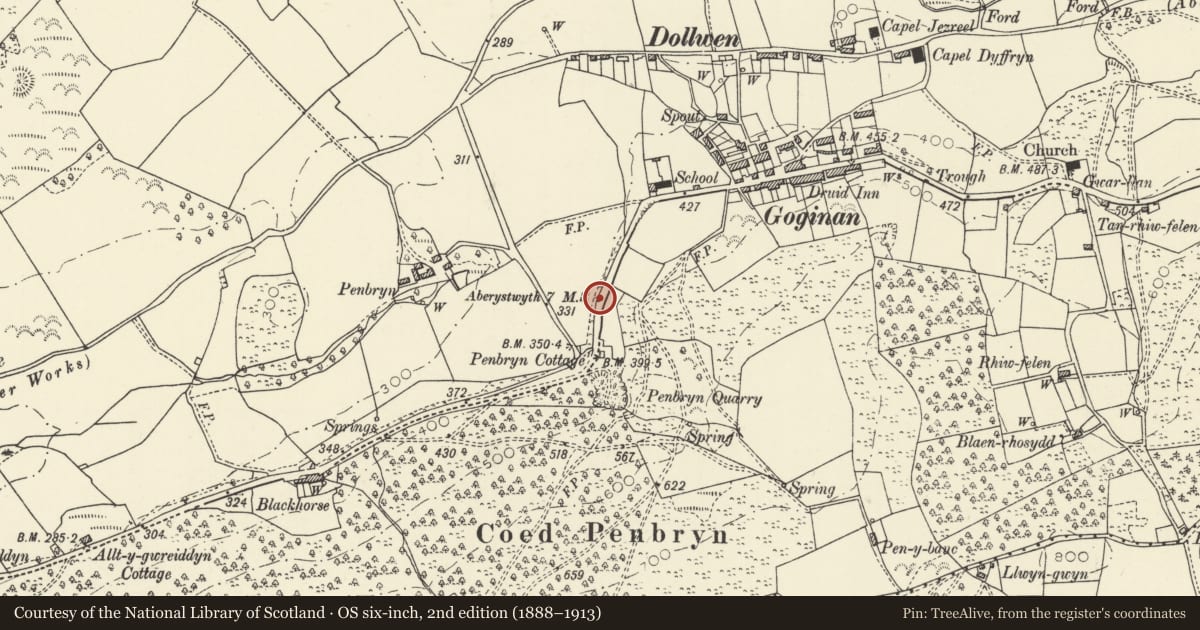 Ordnance Survey six-inch map, 2nd edition (1888–1913) covering the location of Milestone SW of Goginan, Melindwr, Ceredigion, with a pin at the register's coordinates