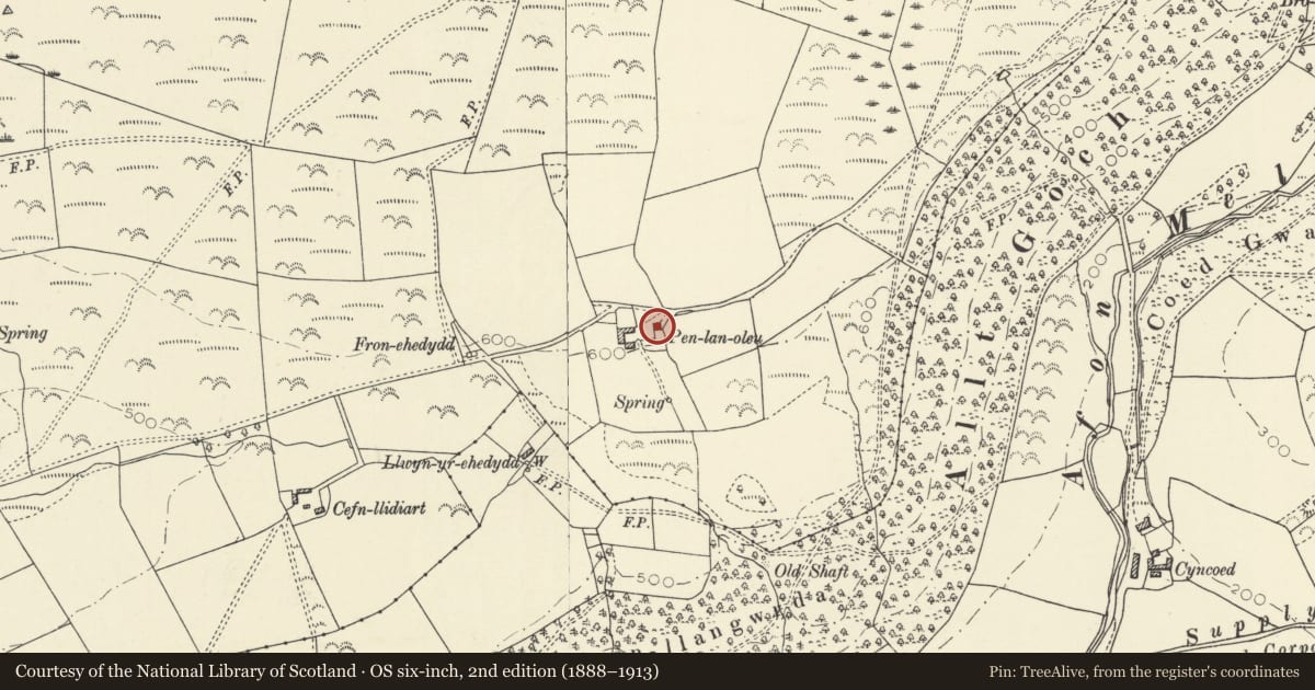 Ordnance Survey six-inch map, 2nd edition (1888–1913) covering the location of Old farmhouse at Penlanolau, Melindwr, Ceredigion, with a pin at the register's coordinates