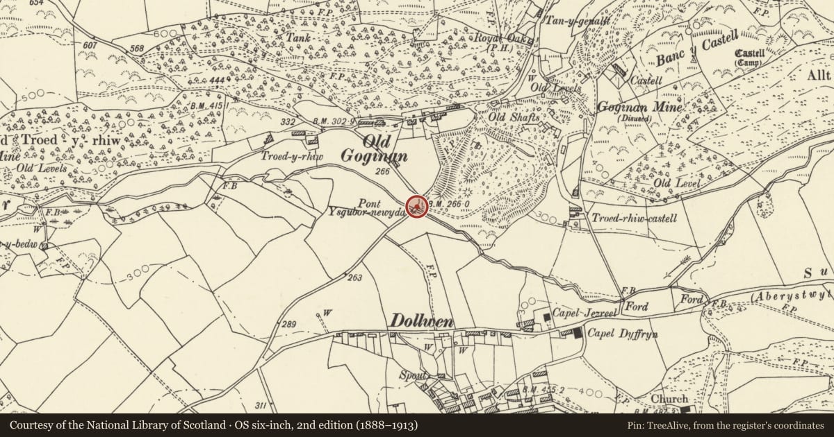 Ordnance Survey six-inch map, 2nd edition (1888–1913) covering the location of Pont Ysgubor Newydd, Melindwr, Ceredigion, with a pin at the register's coordinates