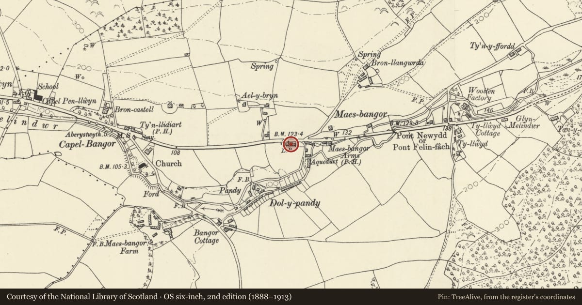 Ordnance Survey six-inch map, 2nd edition (1888–1913) covering the location of Shop in Capel Bangor adjoining Exchange House, Melindwr, Ceredigion, with a pin at the register's coordinates