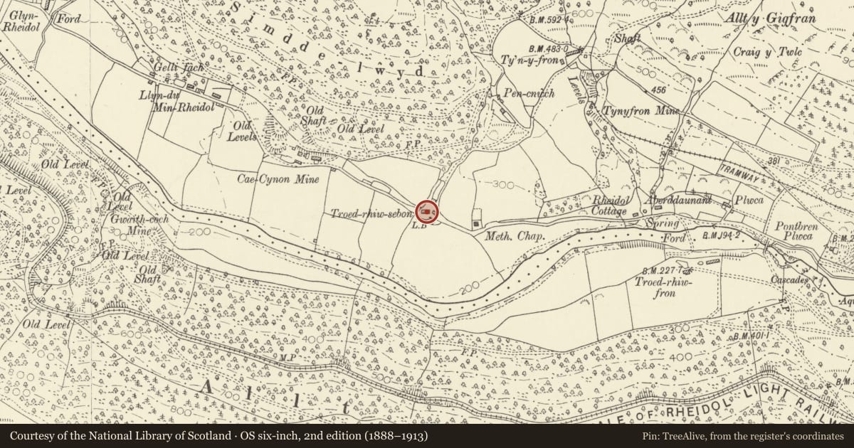 Ordnance Survey six-inch map, 2nd edition (1888–1913) covering the location of Troedrhiwsebon, Melindwr, Ceredigion, with a pin at the register's coordinates