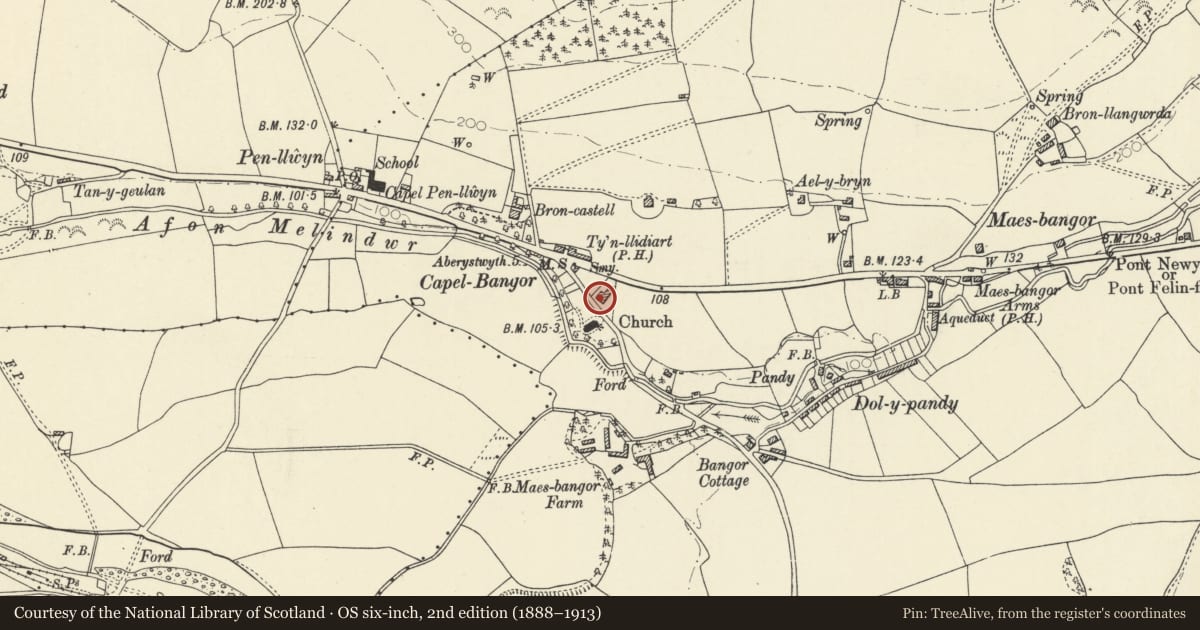 Ordnance Survey six-inch map, 2nd edition (1888–1913) covering the location of Ty'r Eglwys, Melindwr, Ceredigion, with a pin at the register's coordinates