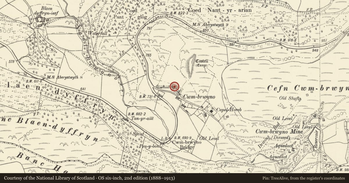 Ordnance Survey six-inch map, 2nd edition (1888–1913) covering the location of Y Goedwig, Melindwr, Ceredigion, with a pin at the register's coordinates