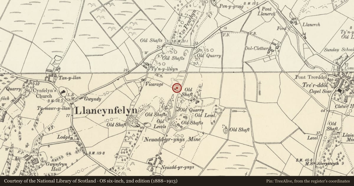 Ordnance Survey six-inch map, 2nd edition (1888–1913) covering the location of Chimney at Llancynfelin lead mine, Llangynfelyn, Ceredigion, with a pin at the register's coordinates