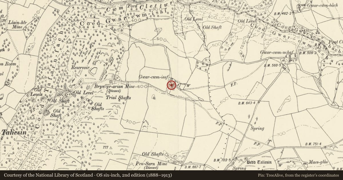Ordnance Survey six-inch map, 2nd edition (1888–1913) covering the location of Gwarcwm Isaf old farmhouse, Llangynfelyn, Ceredigion, with a pin at the register's coordinates
