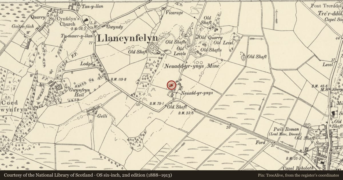Ordnance Survey six-inch map, 2nd edition (1888–1913) covering the location of Hay-barn at Neuadd yr ynys, Llangynfelyn, Ceredigion, with a pin at the register's coordinates