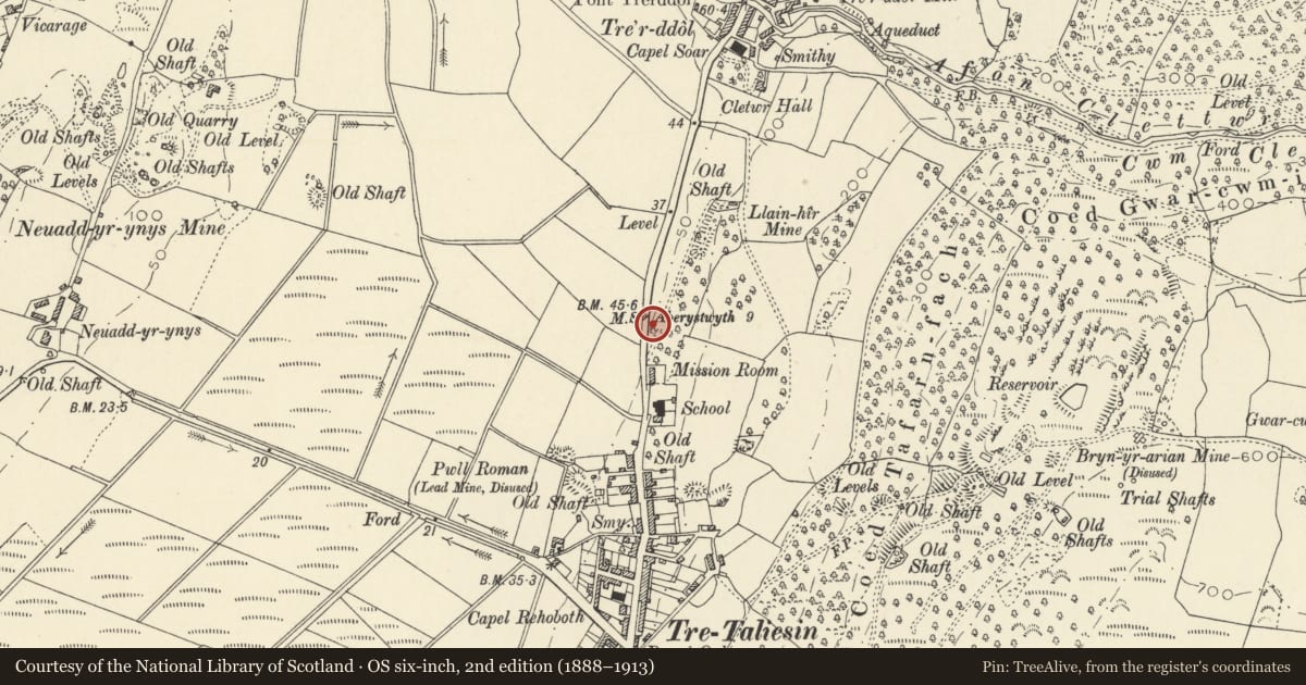 Ordnance Survey six-inch map, 2nd edition (1888–1913) covering the location of Milestone just north of Tre Taliesin, Llangynfelyn, Ceredigion, with a pin at the register's coordinates