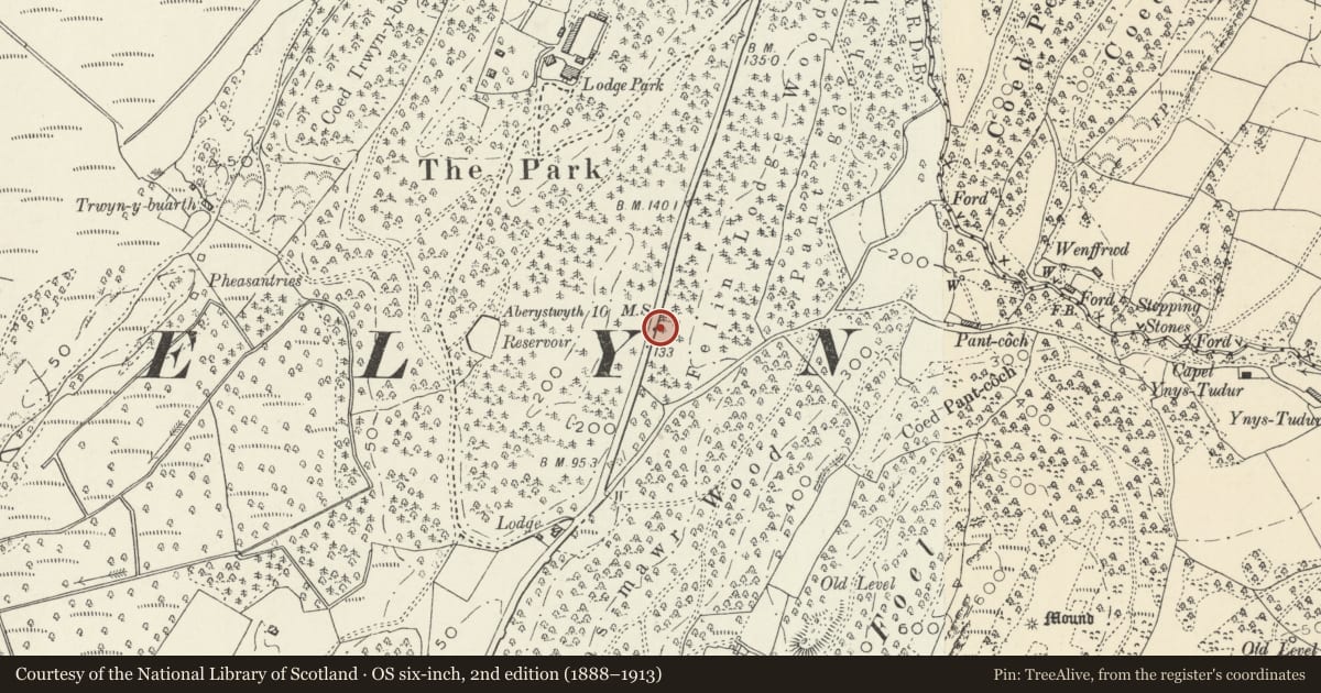 Ordnance Survey six-inch map, 2nd edition (1888–1913) covering the location of Milestone near Lodge Park, Llangynfelyn, Ceredigion, with a pin at the register's coordinates