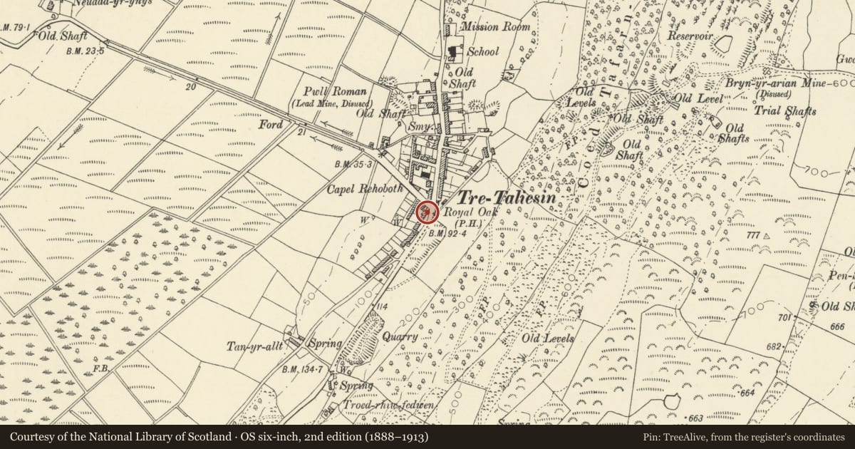 Ordnance Survey six-inch map, 2nd edition (1888–1913) covering the location of No.19 Pencae, and front railings, Llangynfelyn, Ceredigion, with a pin at the register's coordinates