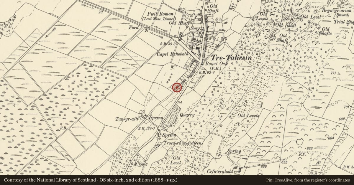 Ordnance Survey six-inch map, 2nd edition (1888–1913) covering the location of Oak Ridge, Llangynfelyn, Ceredigion, with a pin at the register's coordinates