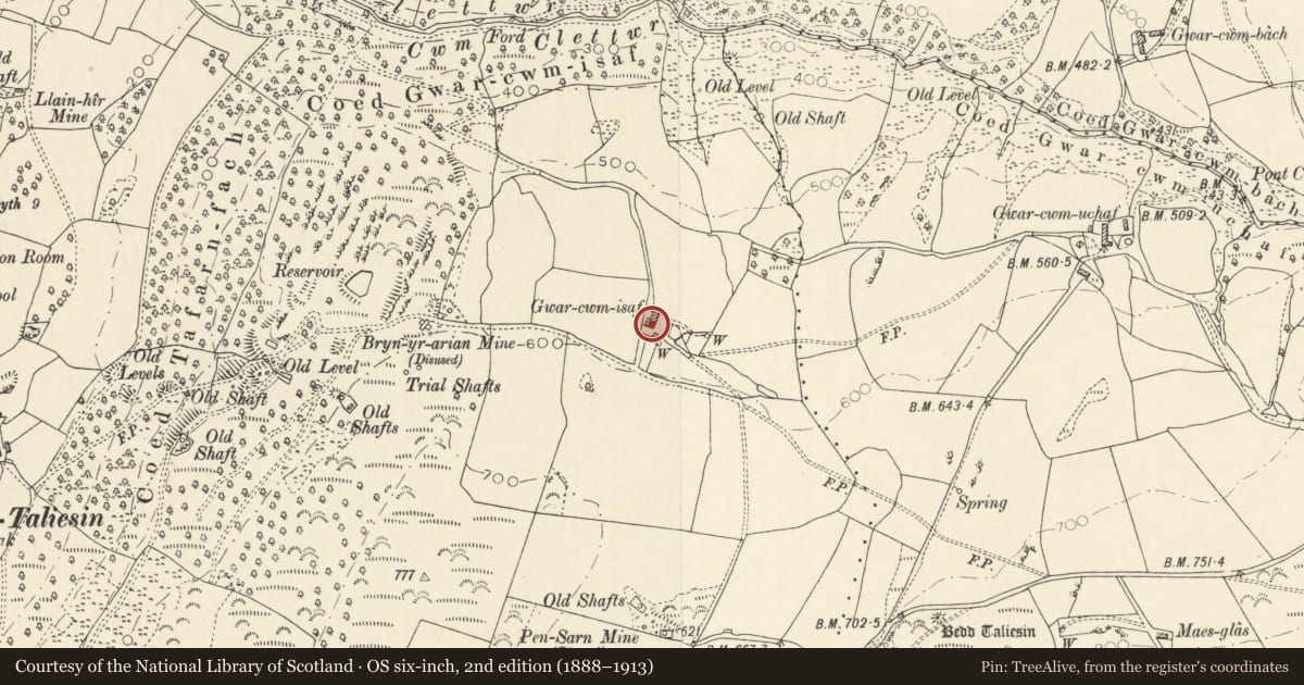 Ordnance Survey six-inch map, 2nd edition (1888–1913) covering the location of Outbuilding at Gwarcwm Isaf, Llangynfelyn, Ceredigion, with a pin at the register's coordinates
