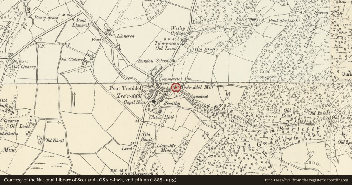 Ordnance Survey six-inch map, 2nd edition (1888–1913) covering the location of Swn y nant, Llangynfelyn, Ceredigion, with a pin at the register's coordinates
