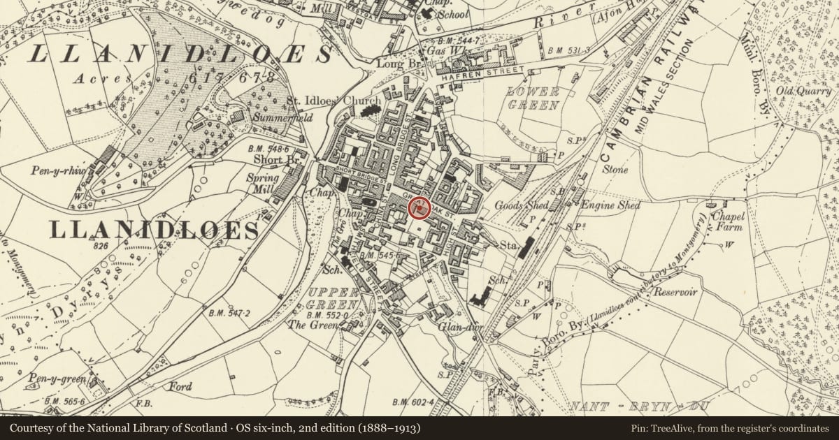 Ordnance Survey six-inch map, 2nd edition (1888–1913) covering the location of Laura Ashley, Llanidloes, Powys, with a pin at the register's coordinates