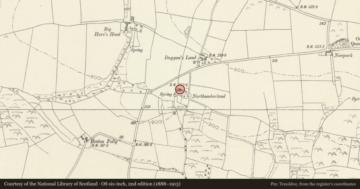 Ordnance Survey six-inch map, 2nd edition (1888–1913) covering the location of Northumberland Farmhouse, Wiston, Pembrokeshire, with a pin at the register's coordinates