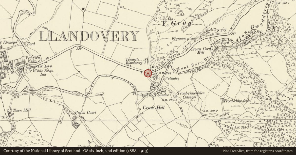 Ordnance Survey six-inch map, 2nd edition (1888–1913) covering the location of Gatepiers and railings to No 1 Velindre, Llandovery, Carmarthenshire, with a pin at the register's coordinates