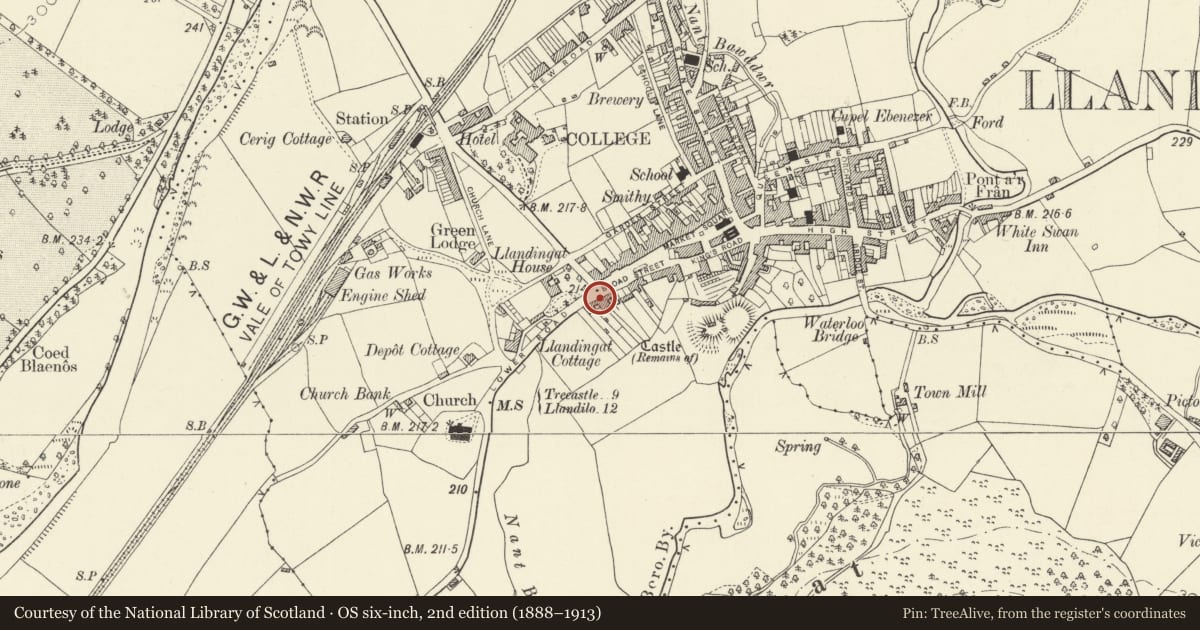 Ordnance Survey six-inch map, 2nd edition (1888–1913) covering the location of Granta, Llandovery, Carmarthenshire, with a pin at the register's coordinates