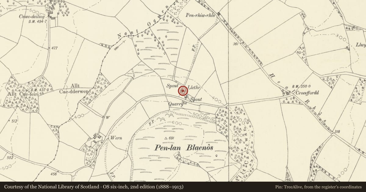 Ordnance Survey six-inch map, 2nd edition (1888–1913) covering the location of Llethr, Llandovery, Carmarthenshire, with a pin at the register's coordinates