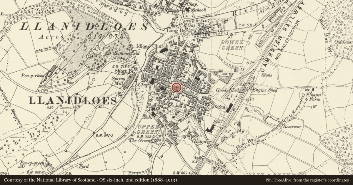 Ordnance Survey six-inch map, 2nd edition (1888–1913) covering the location of E.Owen & Sons, Llanidloes, Powys, with a pin at the register's coordinates