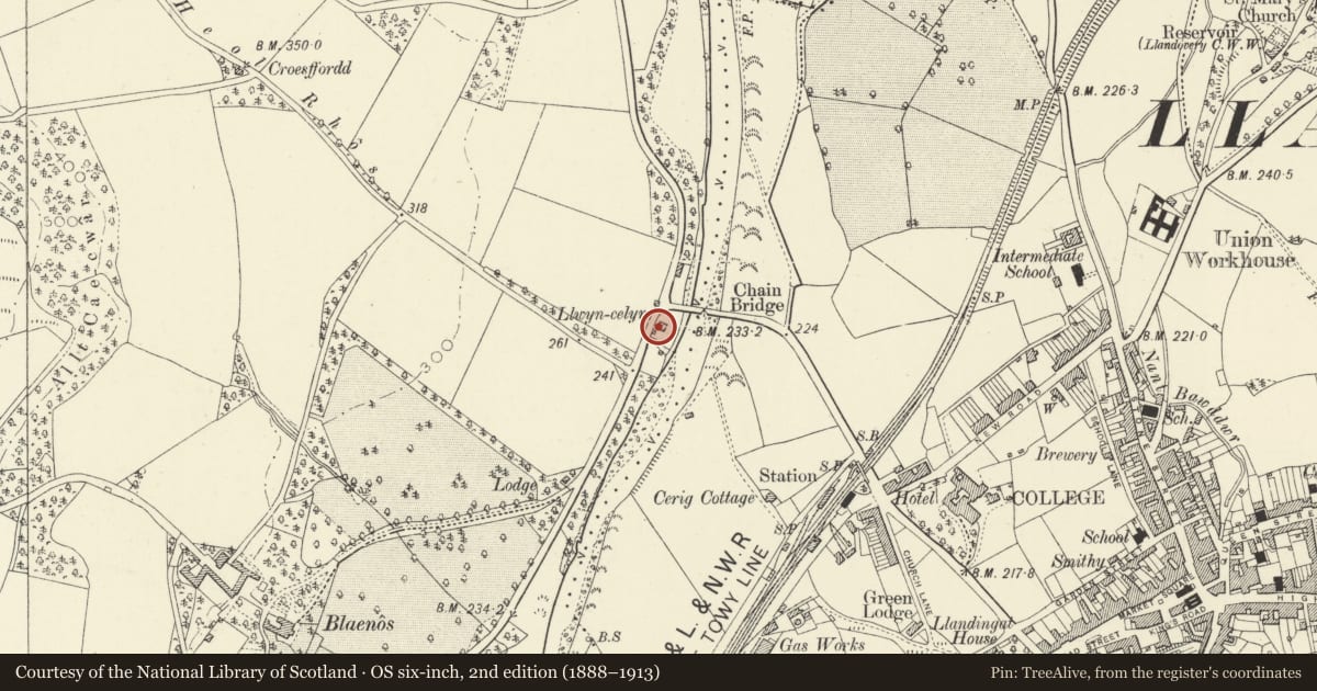 Ordnance Survey six-inch map, 2nd edition (1888–1913) covering the location of Llwyncelyn, Llandovery, Carmarthenshire, with a pin at the register's coordinates