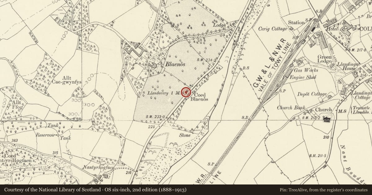 Ordnance Survey six-inch map, 2nd edition (1888–1913) covering the location of Milestone S of Blaenos, Llandovery, Carmarthenshire, with a pin at the register's coordinates