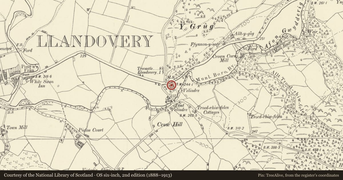 Ordnance Survey six-inch map, 2nd edition (1888–1913) covering the location of 1 Velindre, Llandovery, Carmarthenshire, with a pin at the register's coordinates