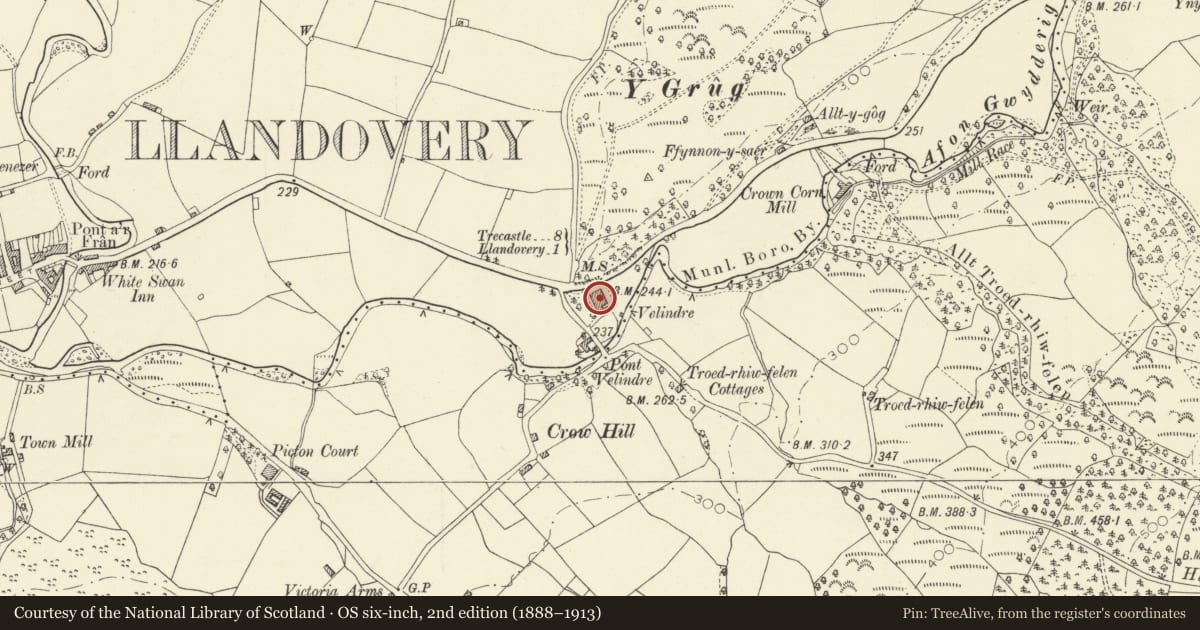 Ordnance Survey six-inch map, 2nd edition (1888–1913) covering the location of 2 Velindre, Llandovery, Carmarthenshire, with a pin at the register's coordinates