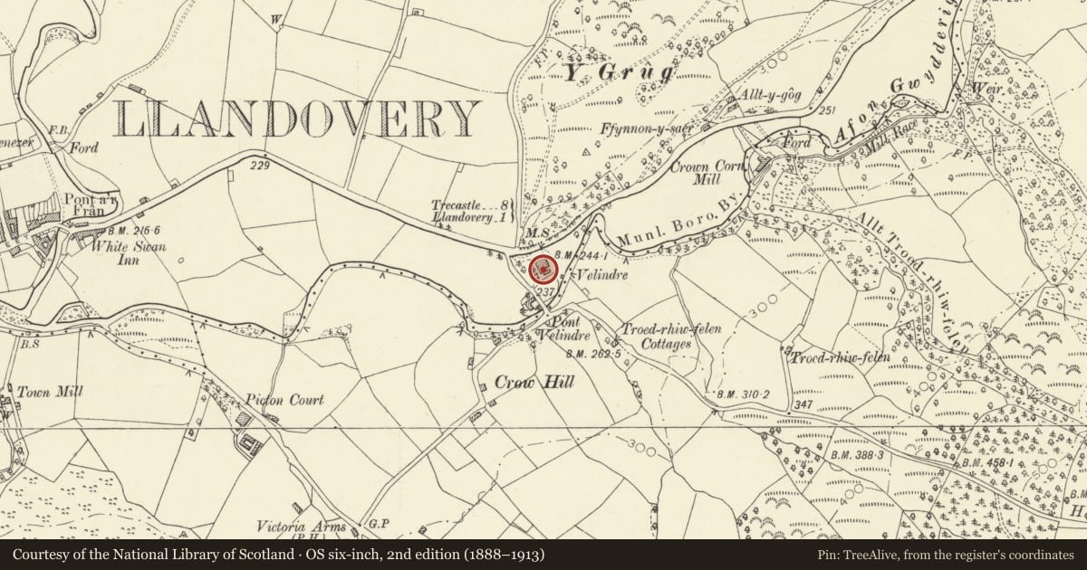Ordnance Survey six-inch map, 2nd edition (1888–1913) covering the location of 3 Velindre, Llandovery, Carmarthenshire, with a pin at the register's coordinates